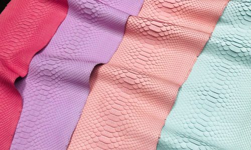 phyton matte new (1)