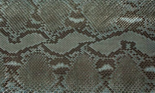 python-01 (1)